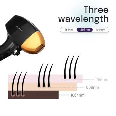 2024 최신 프로 아이스 레이저 탈모 755nm 808nm 1064nm 다이오드 레이저 탈모 기계